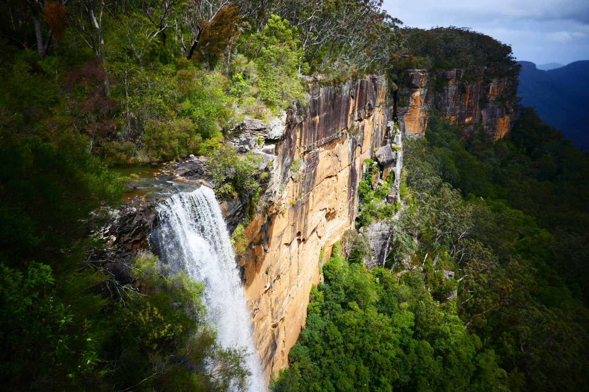 Die methodische Erkundung der Natur Sydneys